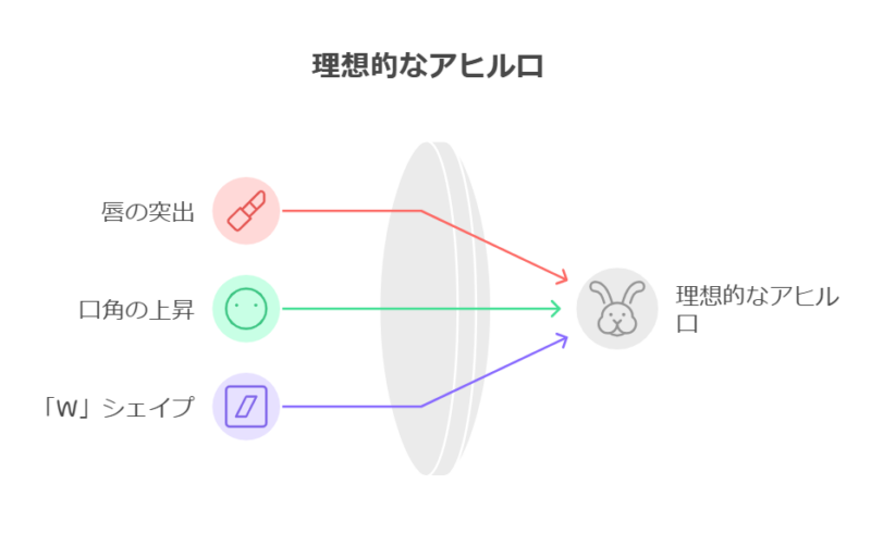 アヒル口はどの程度が一般的？特徴の範囲